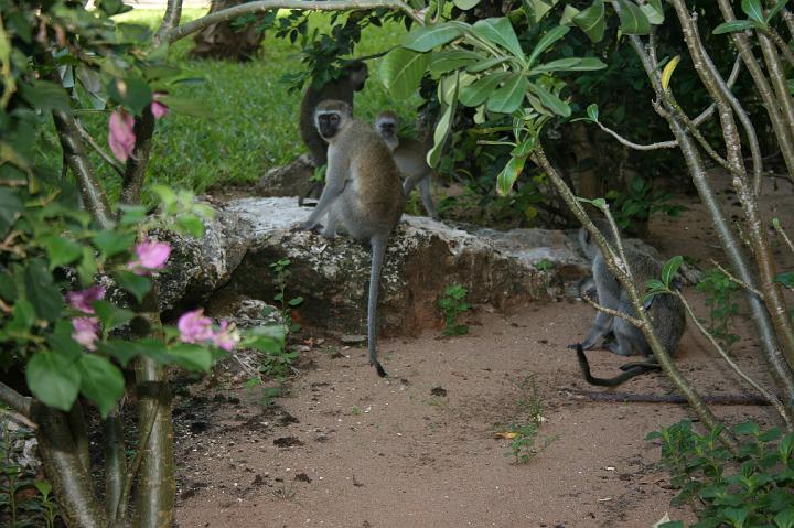 Kenya 109